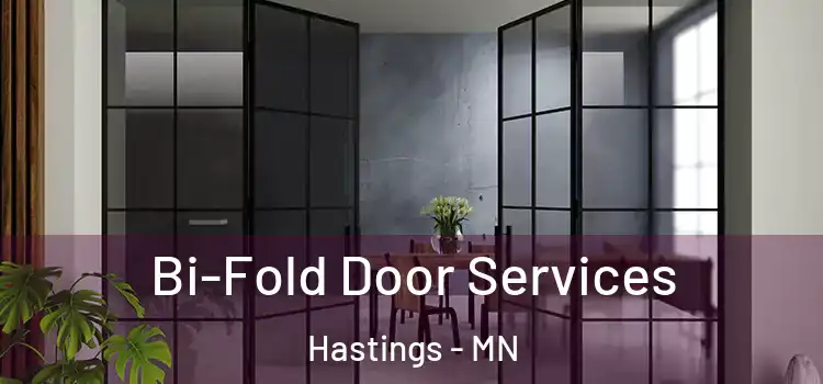 Bi-Fold Door Services Hastings - MN