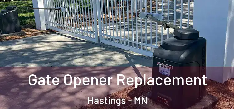 Gate Opener Replacement Hastings - MN